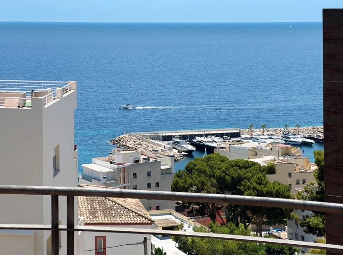Romantic sea view villa for reform with license-8
