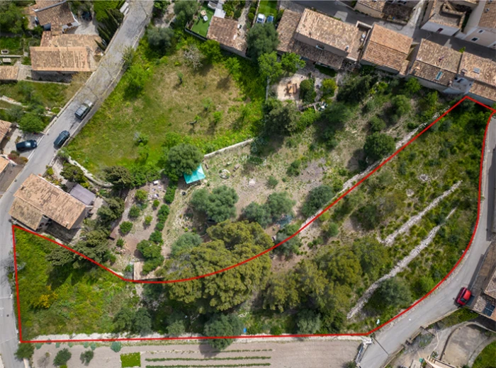 Urban plot in Galilea-1