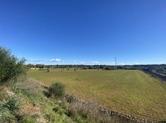 Nice building plot without licence with views in Sineu-2
