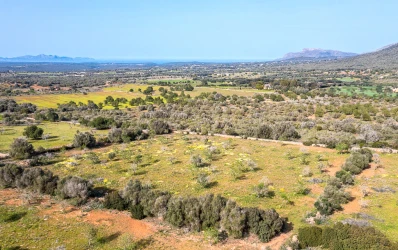 Plot with panoramic views and finca project between Artá and Manacor