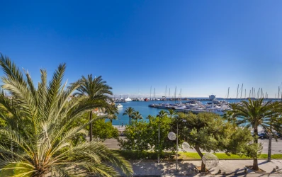 Palma Marítimo: Unique apartment with breathtaking views