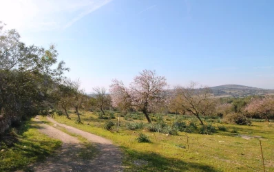 Finca plot in a picturesque rural setting near San Lorenzo