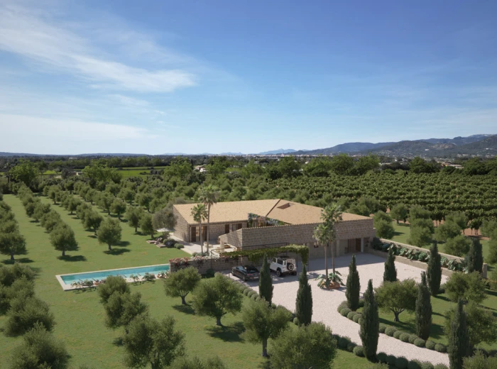 Modern finca project with vineyards and countryside views-6