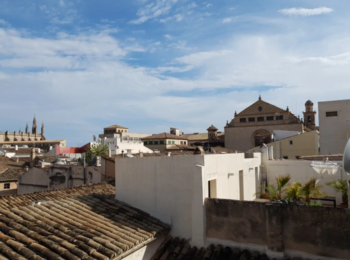 Palacete mallorquín para reformar en el Casco Antiguo - Palma de Mallorca-2