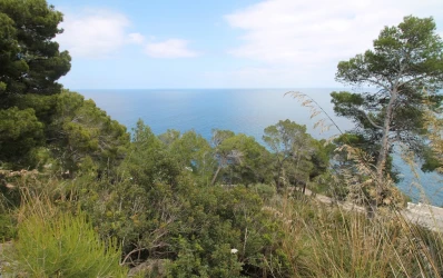 Double plot with a spectacular sea view in Canyamel