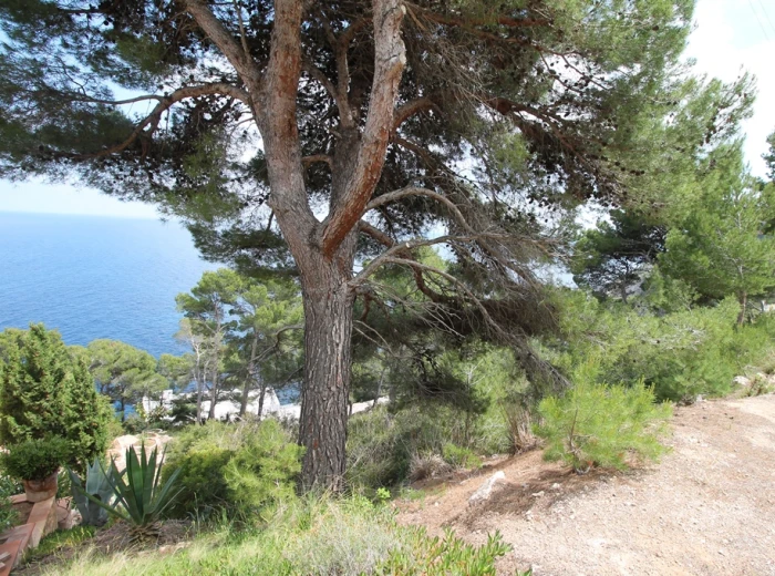 Double plot with a spectacular sea view in Canyamel-2