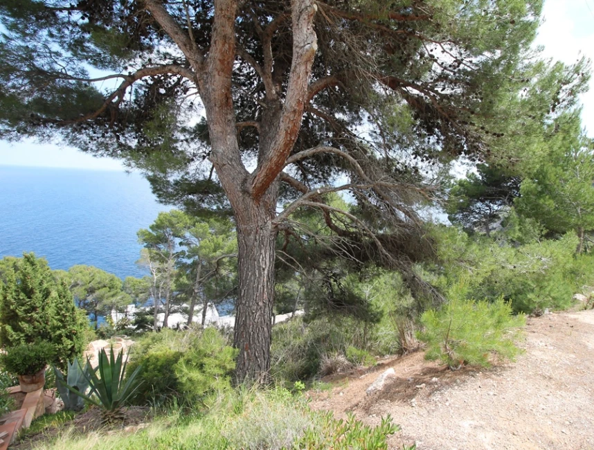 Double plot with a spectacular sea view in Canyamel-2