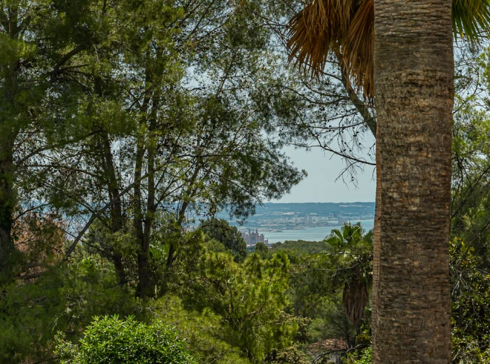 Villa clásica con piscina y jardín en Son Vida, Palma de Mallorca-4