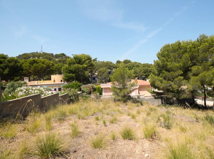 Plot for building a villa with sea views in Font de sa Cala-3