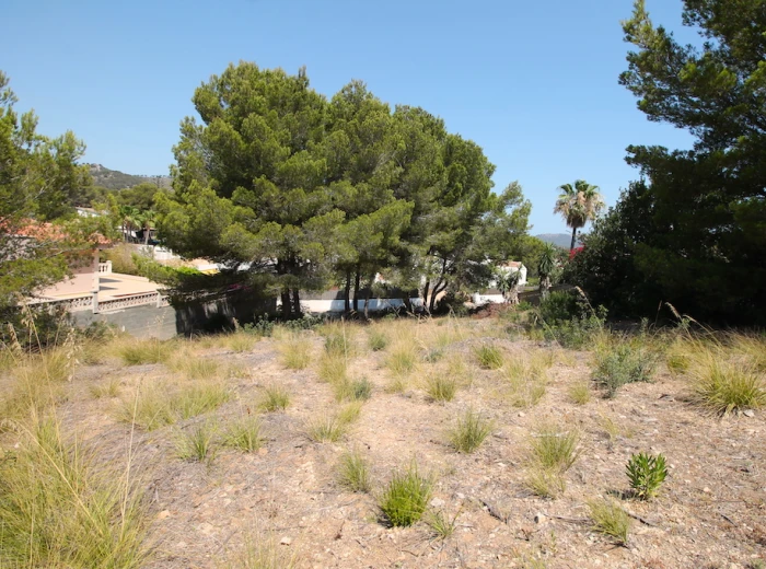 Plot for building a villa with sea views in Font de sa Cala-2