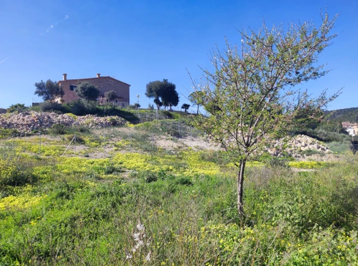 Building plot in Calvia with great views-4