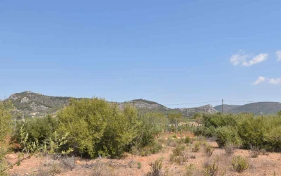 Building plot with license close to Llucmajor