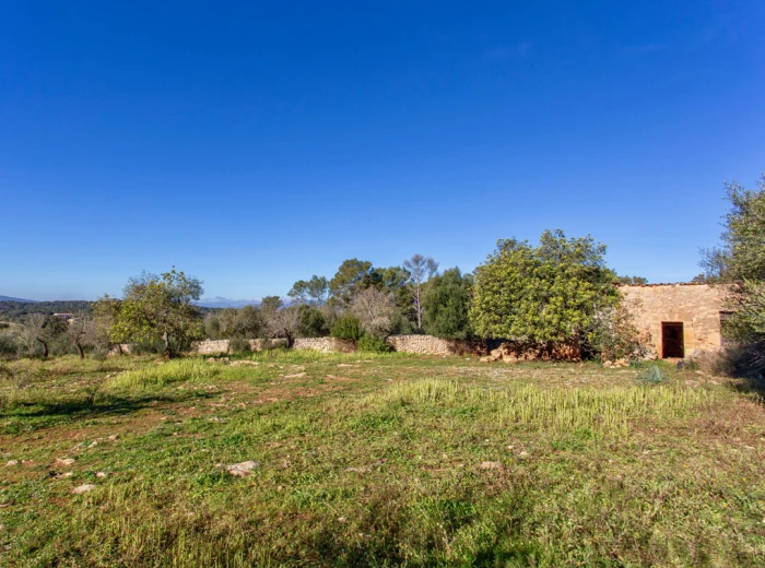 Rustic plot with beautiful views in Costitx-2