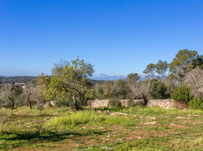 Rustic plot with beautiful views in Costitx-3