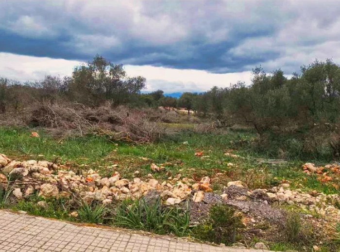 Plot with views in Son Gual-1