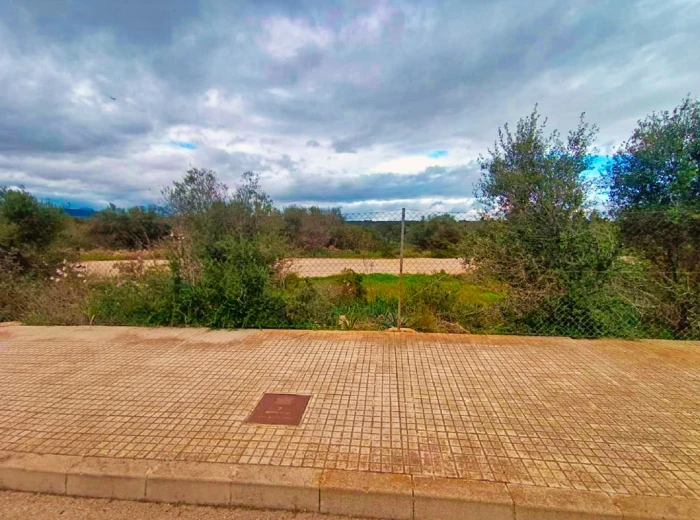 Plot with views in Son Gual-3