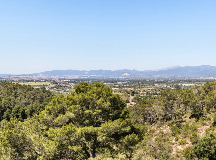 Finca with views over Palma and the Tramuntana Mountains-15