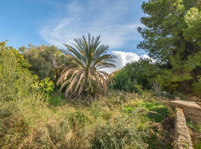Objekt mit angrenzendem Baugrundstück, Ciudad Jardín  - Palma de Mallorca-2