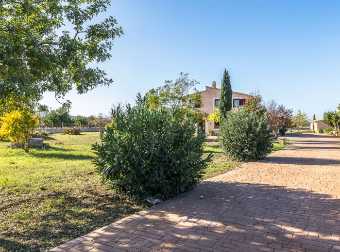 Well-maintained country house with pool and mountain views in Consell-19