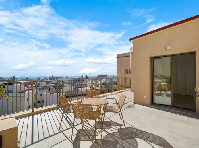 Stylishly renovated and characterful penthouse with terraces, views and lift-2