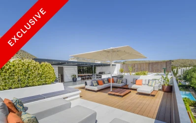 Fabulous penthouse apartment with amazing roof terrace