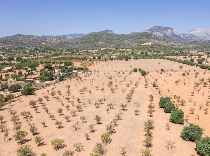 Plot with licence and amazing views of the Tramuntana mountains-4