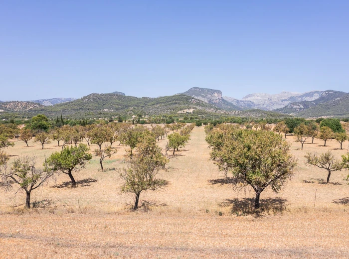 Plot with licence and amazing views of the Tramuntana mountains-2