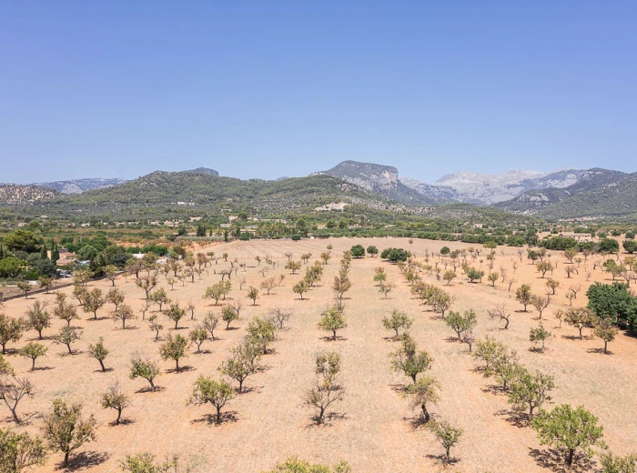 Plot with licence and amazing views of the Tramuntana mountains-1