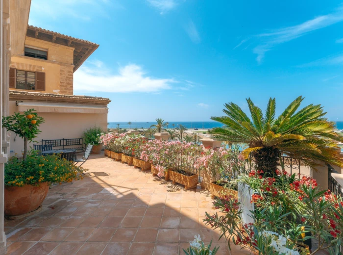 Planta Noble con terraza con vista al mar y parking - Palma de Mallorca, Casco Antiguo-3