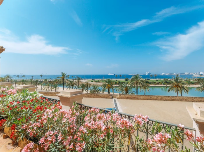 Planta Noble con terraza con vista al mar y parking - Palma de Mallorca, Casco Antiguo-2