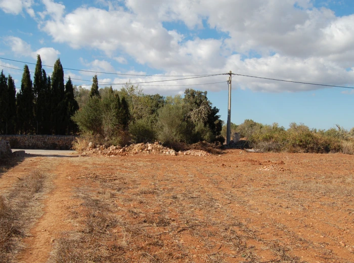 Dos terrenos contiguos con vistas panorámicas en Algaida-5