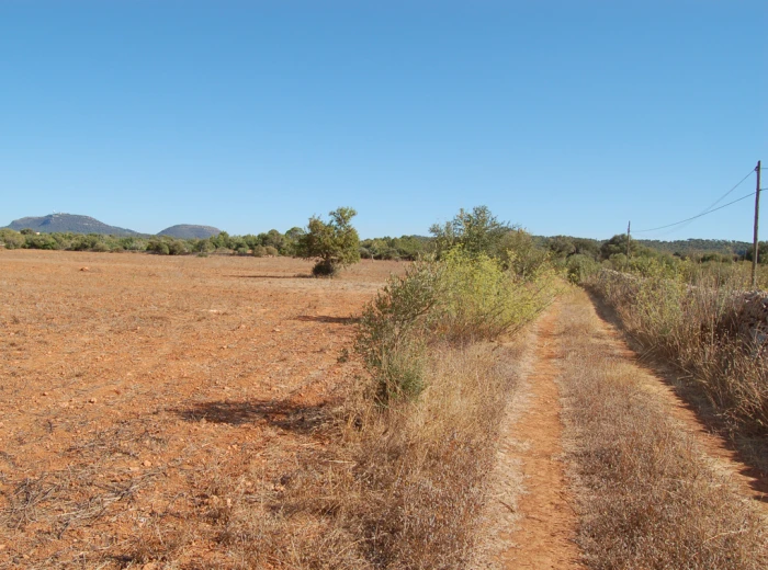 Dos terrenos contiguos con vistas panorámicas en Algaida-3