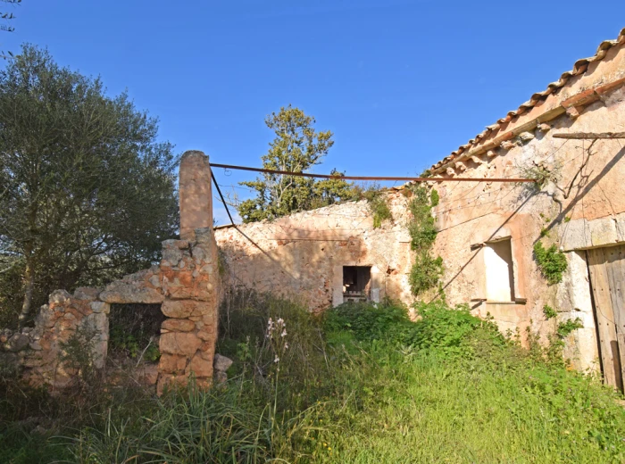 Mallorquin country house to renovate in Llubi-3