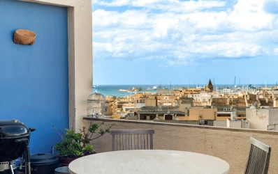 Living with stunning views: cosy flat with spacious terrace & lift