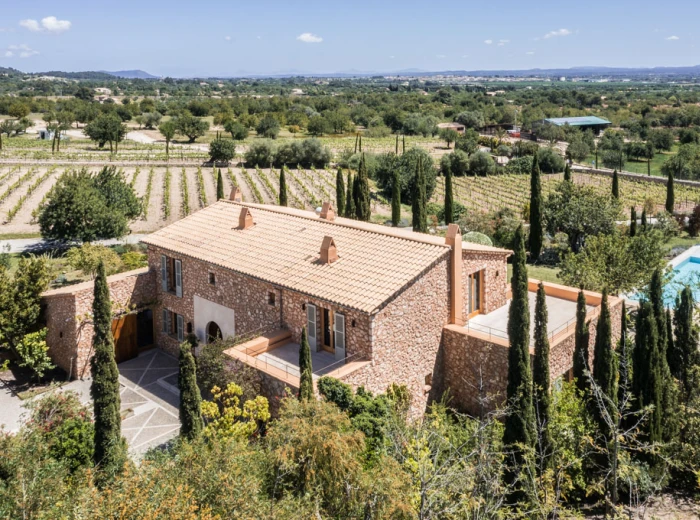 State of the art - Natural stone country house with vineyard-31