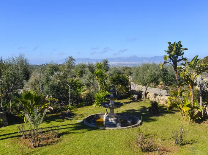Großes Landhaus mit Ferienvermietlizenz, umgeben von Olivenbäumen-29