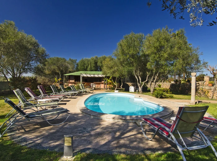 Large country house with holiday rental licence, surrounded by olive trees-2