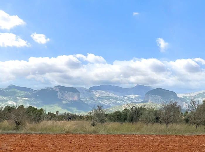 Precioso terreno con proyecto y vistas a la Sierra de Tramuntana-1