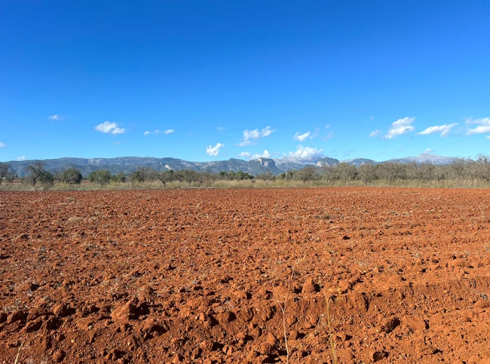 Precioso terreno con proyecto y vistas a la Sierra de Tramuntana-2