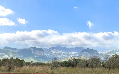 Precioso terreno con proyecto y vistas a la Sierra de Tramuntana