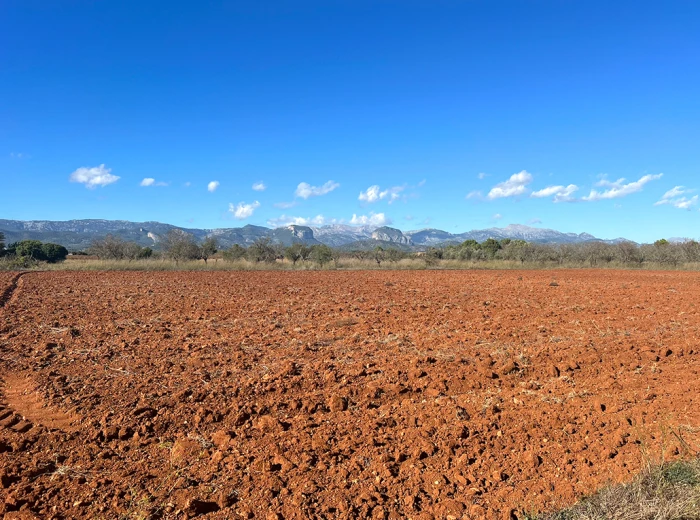 Precioso terreno con proyecto y vistas a la Sierra de Tramuntana-4